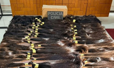 Polícia recupera parte de carga de cabelo avaliada em R$ 440 mil e prende 2