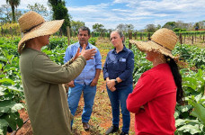 Agraer orienta agricultoresri a produzir mais e vender direto ao consumidor