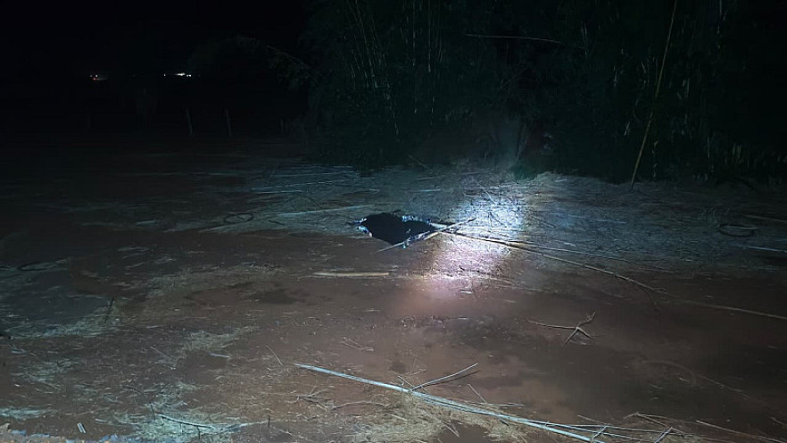 Adolescente indígena atropelada em março entre Dourados e Ponta Porã é identificada