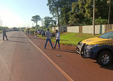 Fotos: Sidnei Bronka/Ligado Na Notícia