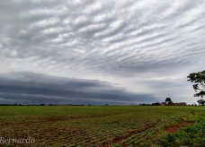 Foto: Geone Bernardo