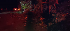 Jovem morre após perder controle de camionete e bater em árvores em Itaporã