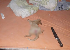 Foto: Olimar Gamarra