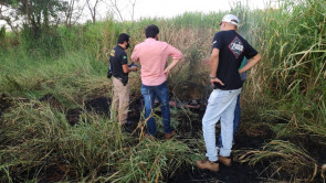 Corpo de mulher é encontrado carbonizado em Nova Alvorada