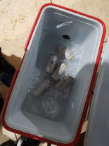 Guarda Municipal interrompe festa com DJ no Jardim Maringá