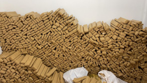 Defron apreende mais de 9 toneladas de maconha escondidas até em freezeres