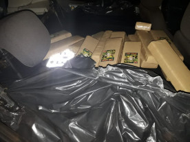 Guarda Municipal apreende quase 800 quilos de maconha em Dourados; um homem é preso