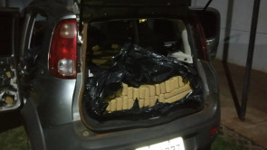 Guarda Municipal apreende quase 800 quilos de maconha em Dourados; um homem é preso