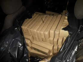 Guarda Municipal apreende quase 800 quilos de maconha em Dourados; um homem é preso