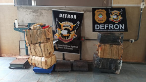 Dupla é presa pela Defron próximo da Usina São Fernando com 287 quilos de maconha