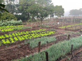 Defron apreende cerca de 7 toneladas de maconha e prende 3 traficantes na fronteira
