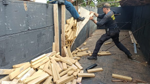Em ‘lua de mel’, casal é preso com mais de 1 tonelada de maconha na BR-463