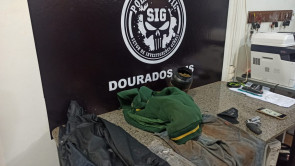 Polícia apreende autores da tentativa de latrocínio contra caminhoneiro em Dourados