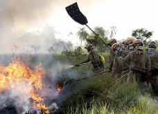 Foto: Edemir Rodrigues/Portal do MS