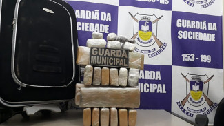 Foto: Divulgação GM