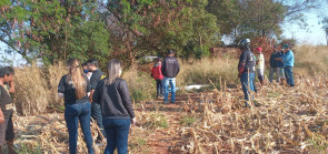 Indígena é assassinado com 12 facadas em Dourados