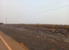 Ações de combate já ultrapassam as 24 horas e já atingiu cerca de 3 mil hectares; Foto: Divulgação/Assecom