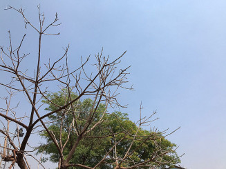 'Calorão' deve continuar, apesar da chuva; Foto: Luiz Guilherme/Sidnei Bronka