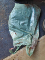 Homem é preso por maltratar cachorro até a morte em Dourados