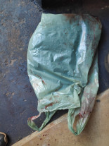 Homem é preso por maltratar cachorro até a morte em Dourados