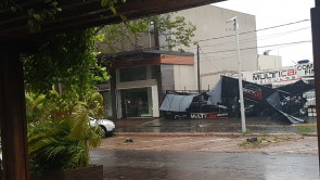 Ventos de 41km/h derrubam árvores em vários pontos de Dourados