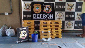 Defron fecha entreposto de drogas e apreende até ‘pé’ de maconha em Dourados