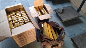 Defron fecha entreposto de drogas e apreende até ‘pé’ de maconha em Dourados