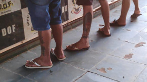 Defron fecha entreposto de drogas e apreende até ‘pé’ de maconha em Dourados