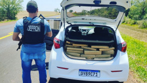 Homem é preso pela Defron com mais de 326 quilos de maconha na BR-463