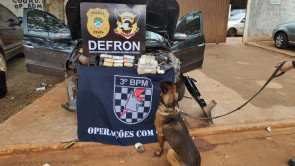 Defron prende homem e apreende mais de 14 quilos de cocaína e pasta base em Dourados