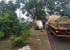 Força-tarefa foi criada no mês passado após os temporais; Foto: Divulgação/Assecom