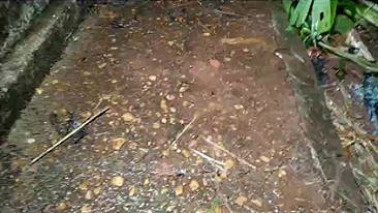 Homem é assassinado dentro de camionete em Dourados.