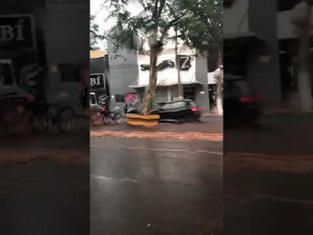 Internauta flagra árvore caindo na Marcelino Pires