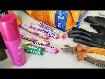 Após furtar farmácia, conveniência e casa de ração, ladrão é preso pela GM em Dourados