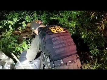 DOF apreende quase 300 quilos de drogas em motocicletas