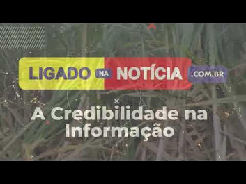 Defron apreende quase 170 quilos de maconha próximo de Itahum