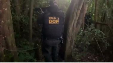 Polícia encontra quase 400 quilos de maconha ‘abandonados’ na fronteira de MS