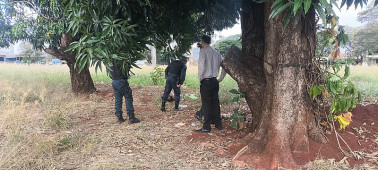 Homem é encontrado morto embaixo de pé de manga no Jardim Clímax