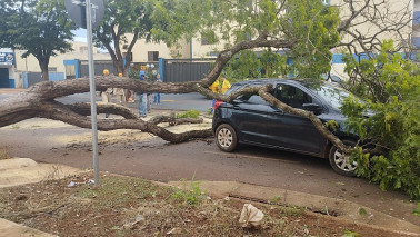 Árvore cai e atinge carro na área central de Dourados