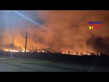 Incêndio atinge área de mata após morador atear fogo em armário velho