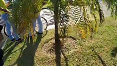 Tiroteio no Paraguai e homem é assassinado no estacionamento do Shopping China