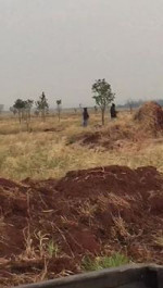 Eu recebi um vídeo onde mostra indígenas armados com espingarda em uma área invadida nas proximidades da Perimetral Norte em Dourados.